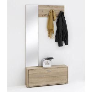 Modern Shoe Cabinet/ Wood Shoe Cabinet (XJ-6026)