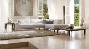 Modern Furniture Sectional Sofa for Home Furniture