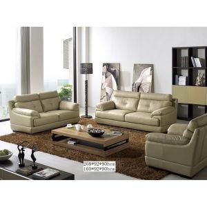 Modern Living Room Leisure Sofa, Leather Sofa (WD-6796)