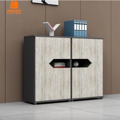 Two Door Office Furniture, Modern Filing Cabinets.