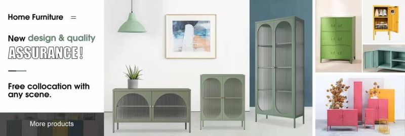 Nordic Style Home Furniture Modern Metal Colorful 2 Door Storage Cupboard