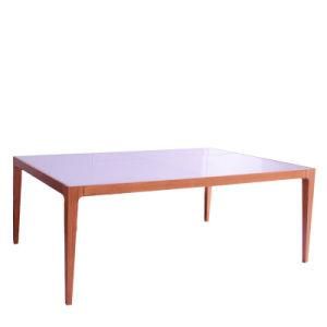 Mix Material Modern Coffee Table (HSC101)