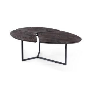 Trendy Oval Wooden Tea Table for Modern Living Room (YA933A)