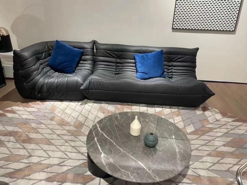 Popular 2-Seater Soft Caterpillars Fabric Leather Sofabed Couch with Ottoman