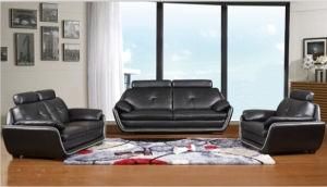 Furniture for Modern Sofa with Top Grain Leather