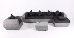 Outdoor/Indoor PE Rattan/Wciker Furniture Sofa Set (AY-S1010)