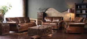 Genuine Leather Sofa