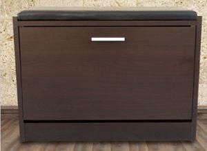 Modern Shoe Cabinet/ Wood Shoe Cabinet (XJ-6002)