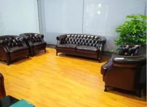 Living Room Sofa with Genuine Leather Sofa Modern Sofa