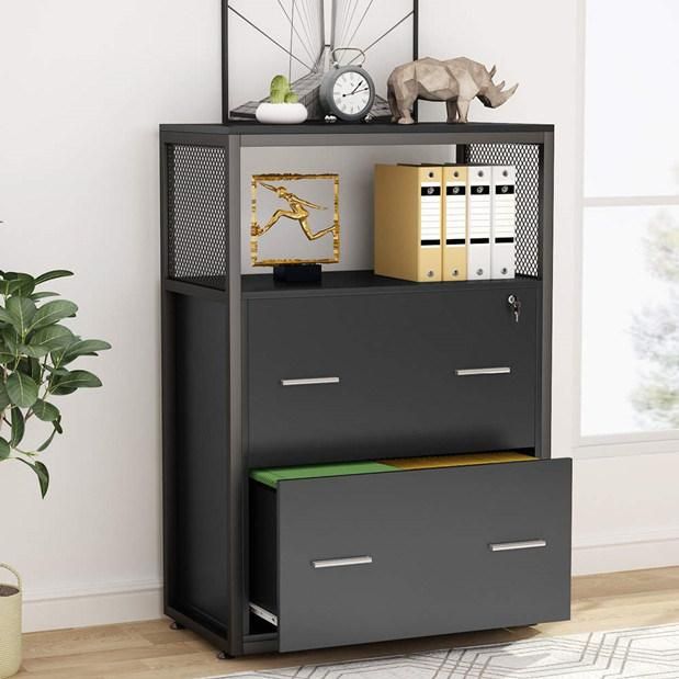 2 Drawer Lateral File Cabinet Large Modern Filing Cabinet Printer Stand with Metal Wire Open Storage Shelves for Home Office