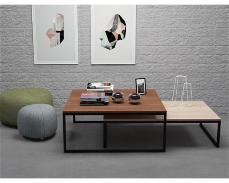 Two Rectangular Wooden Coffee Tables of The Same Color