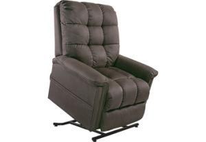 Lift Recliner Chair/Electrical Recliner/Rise and Recliner Chair/ Lift Chair for Old Man