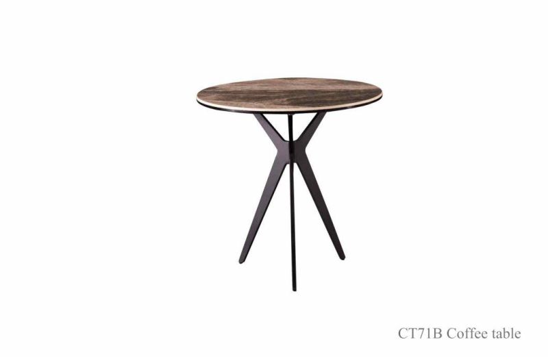 CT71A Wooden Coffee Table/ MDF Eucalyptus Veneer Top/Home Furniture and Hotel Furniture