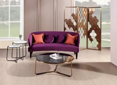 Living Room Double Seat Purple Velvet Back Sofa Furniture with Metal Feet