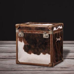 Leather Vintage Decorative Storage Trunk