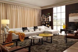 Modern Style Light Color Sofa for Your Home Furniture