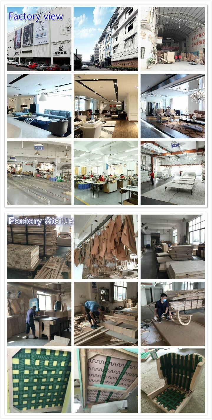 Zhida American Style New Classical Luxury Home Furniture Villa Hotel Living Room Sectional 1 2 3 Fabric Sofa with Armrest for Sale