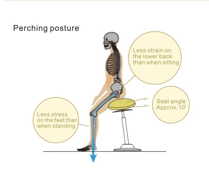 Height Adjustable Ergonomic Pneumatic Wobble Standing Chair